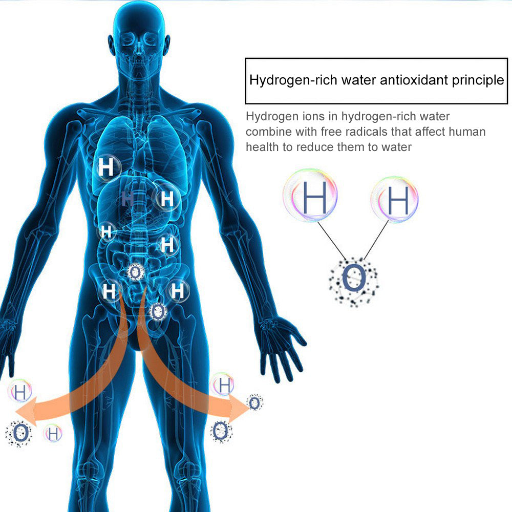 Diagram of a human body with hydrogen ions and antioxidant principle explained.