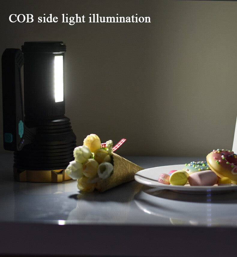 COB side light illumination on a dark surface with a plate of cookies and a small bouquet of flowers.