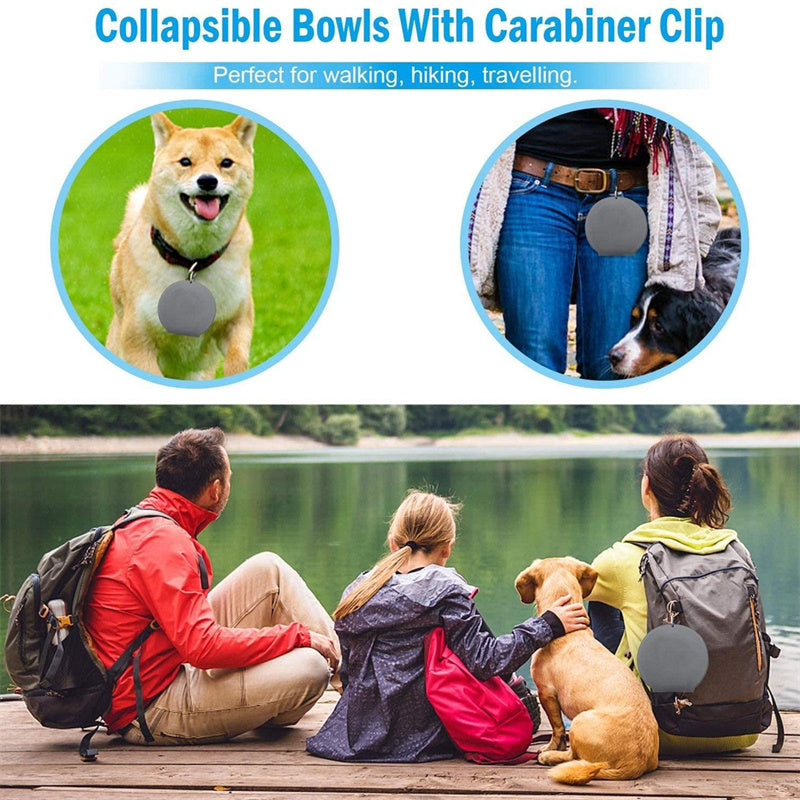 Portable Collapsible Double Dog Bowl with Non-Slip Silicone Mat for Travel & Outdoor Use