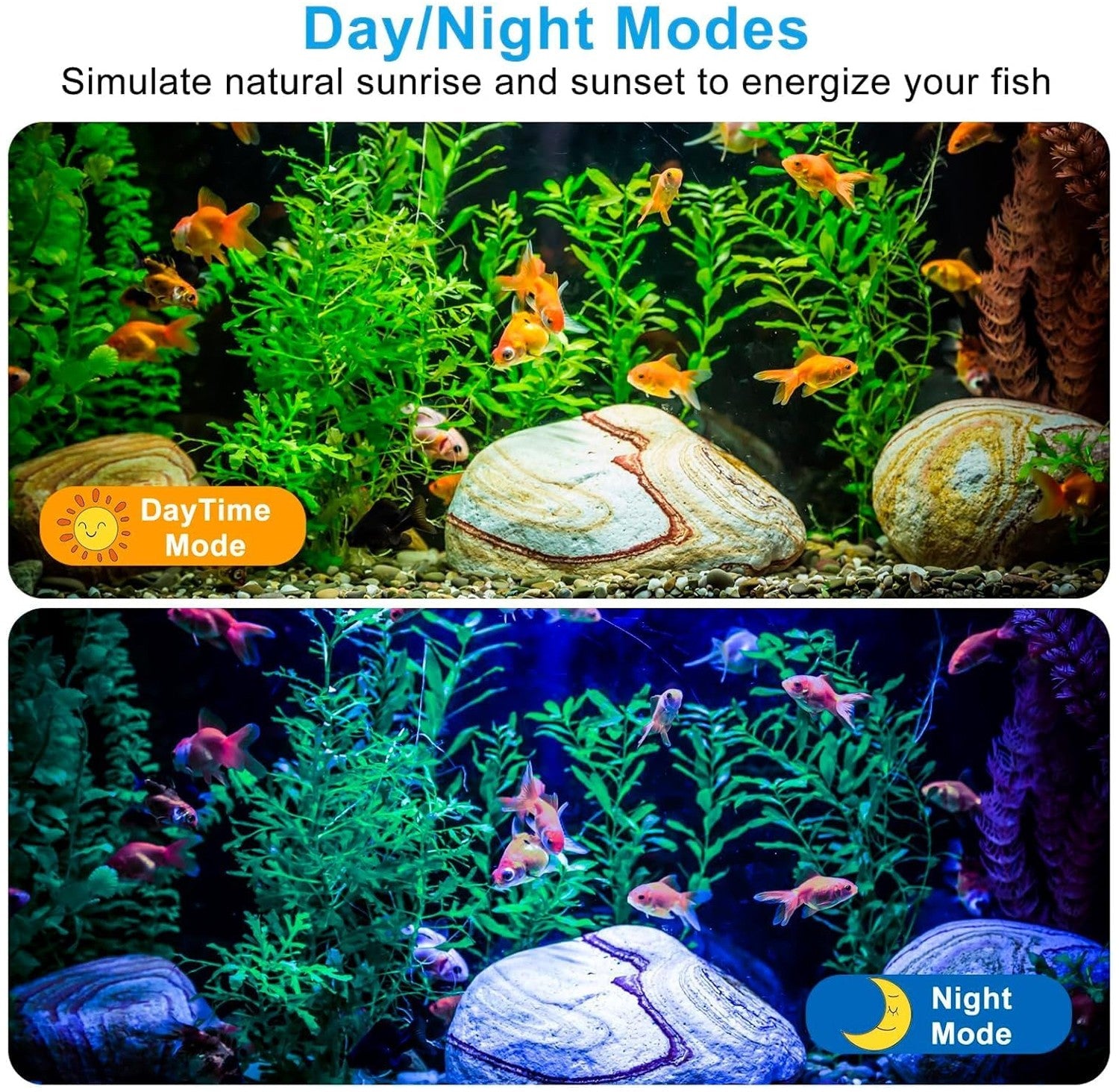 Aquarium with fish under DayTime and NightMode lighting