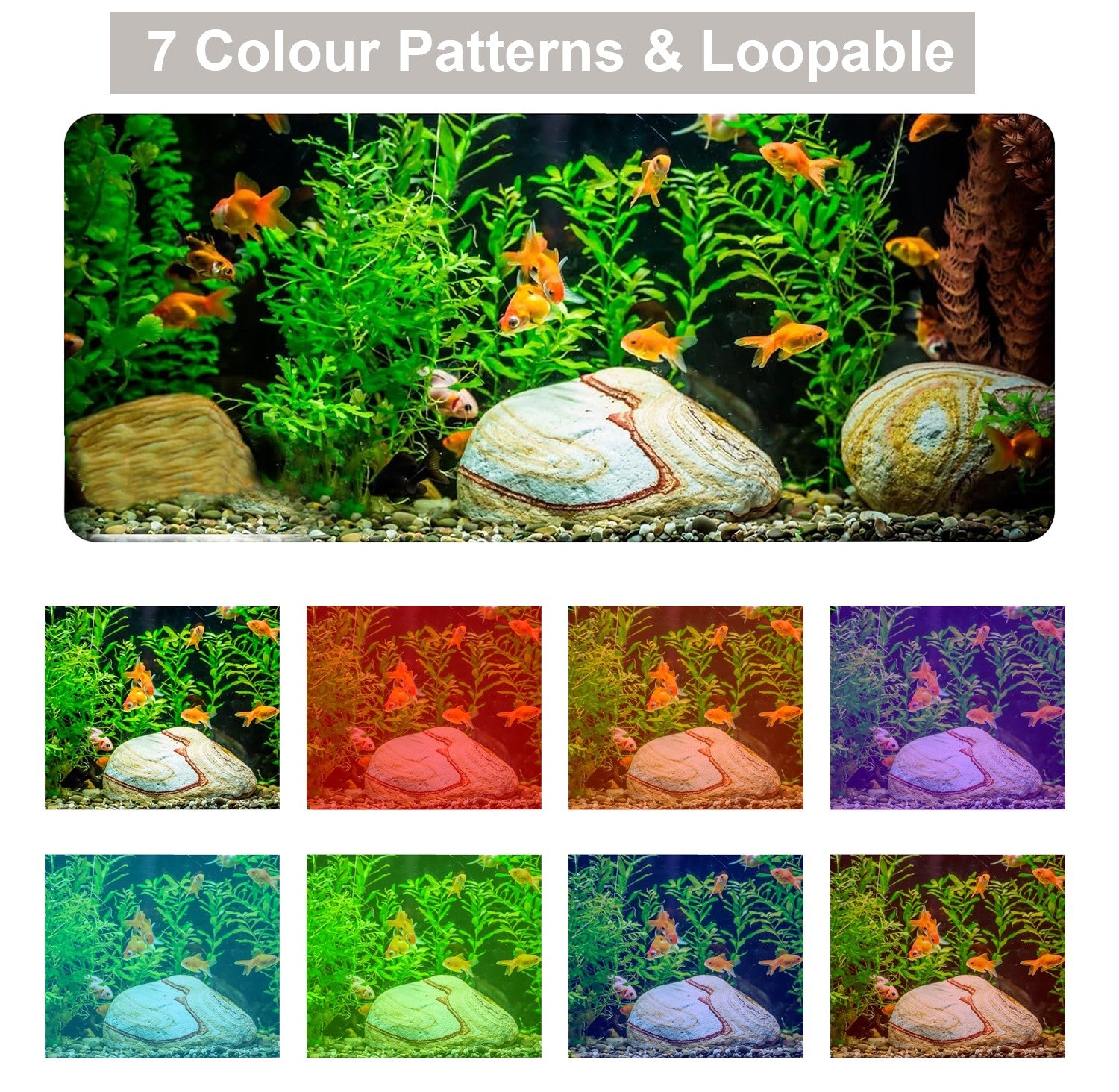 Fish tank scene with fish and plants, showing 7 color patterns and loopability.